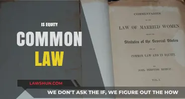 Equity and Common Law: What's the Difference?