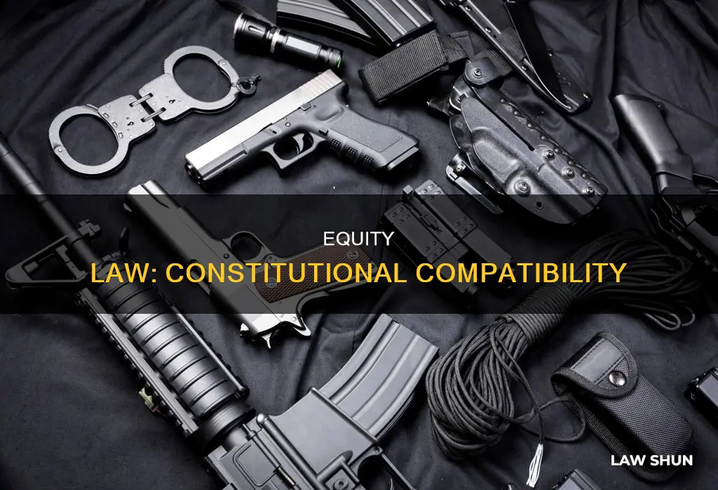 is equity law constitutional