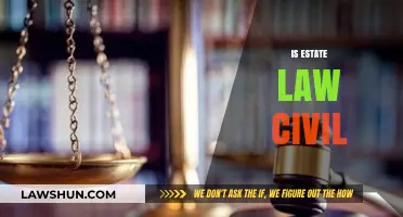 Is Estate Law Civil? Understanding Its Legal Nature and Implications