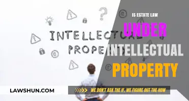 Estate Law vs. Intellectual Property: Understanding Legal Boundaries and Rights