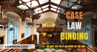 Case Law in the EU: Binding or Not?