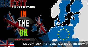 Post-Brexit UK: EU Law Influence