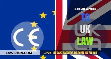 UK Law vs EU Law: Who's the Boss?
