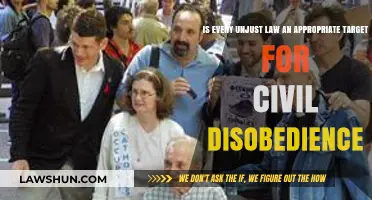 Unjust Laws and Civil Disobedience: When to Resist Authority