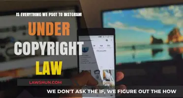 Instagram Posts and Copyright Law: What You Need to Know
