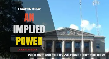 Is Executing the Law an Implied Power? Exploring Legal Authority