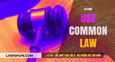 Fair Use: Common Law or Not?