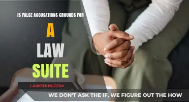 False Accusations: Legal Grounds for a Lawsuit Explained