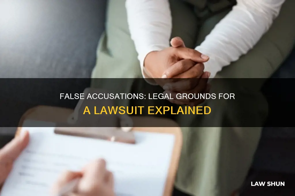 is false accusations grounds for a law suite