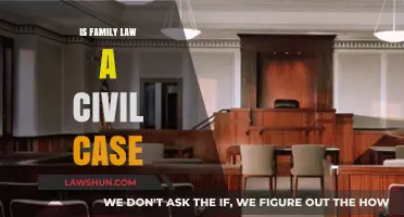 Family Law: Civil Cases and You