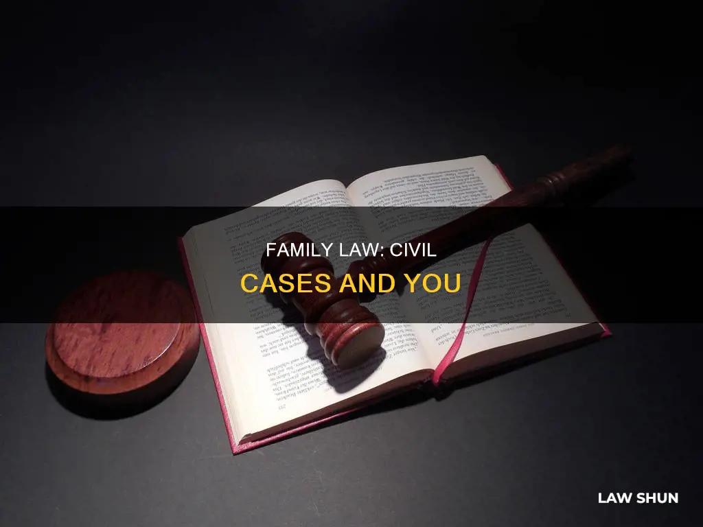 is family law a civil case