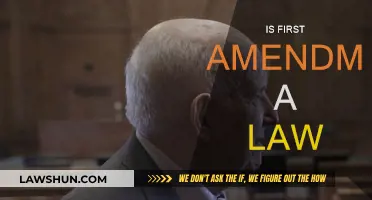 First Amendment: A Law or Not?