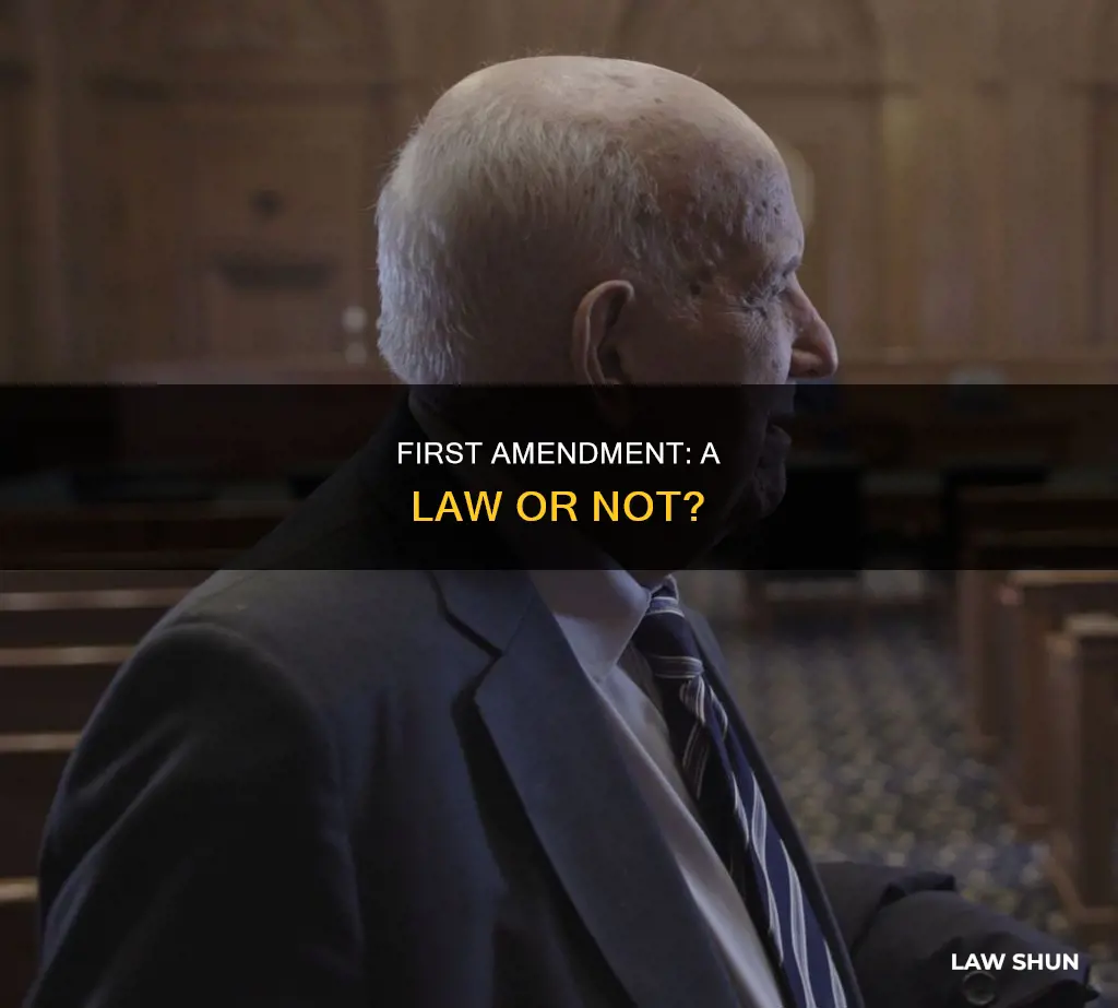 is first amendment a law