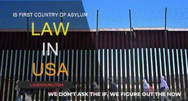 Asylum Law: The USA's First Country Rule