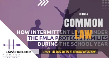 Understanding FMLA: Common Law and Your Rights