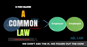 Force Majeure: Common Law or Contractual Clause?