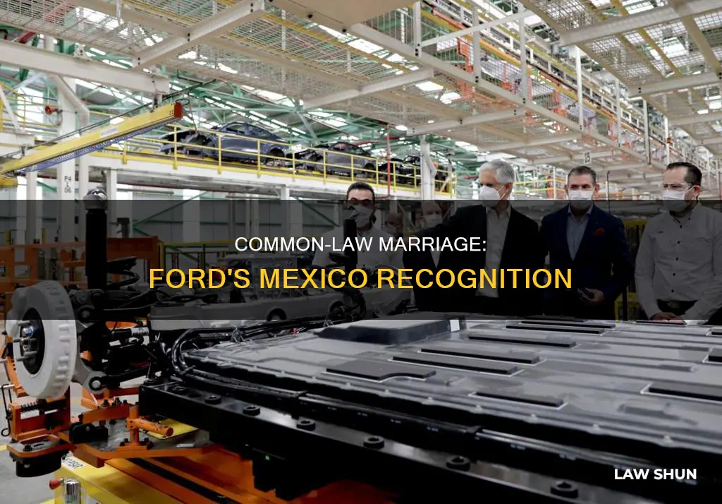 is ford mexico common law