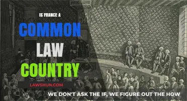France and Common Law: A Unique Legal Blend