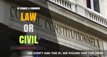 France's Legal System: Civil or Common Law?