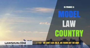 Is France a Model Law Country? Exploring Legal Excellence and Influence