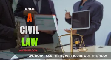 Is Fraud a Civil Law Matter? Understanding Legal Implications