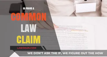 Fraud Claims: Common Law or Civil?