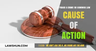 Fraud: Crime or Civil Action?