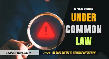 Fraud and Common Law: What's Covered?