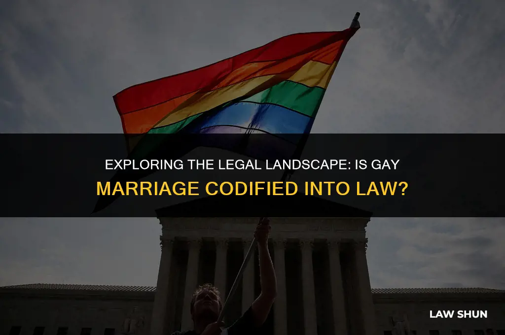 is gay marriage codified into law