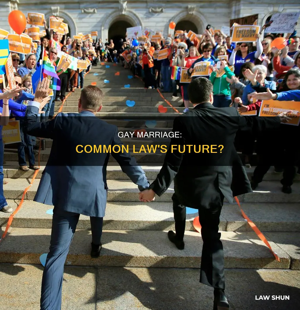 is gay marriage common law
