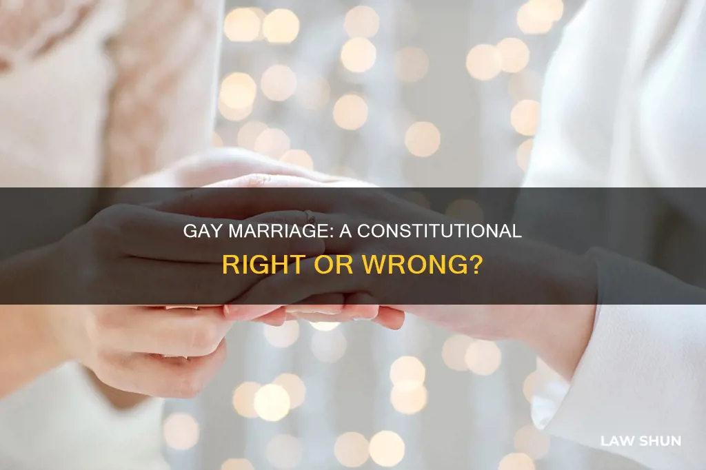 is gay married a constitutional law