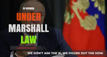 Is Georgia Under Martial Law? Facts and Current Situation Explained