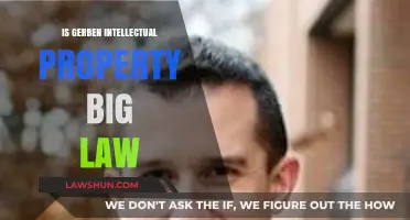 Is Gerben Intellectual Property a Big Law Firm? Exploring the Facts