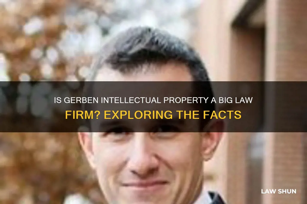 is gerben intellectual property big law