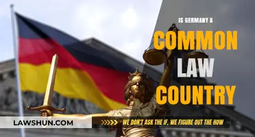 Germany's Legal System: Common or Civil Law?