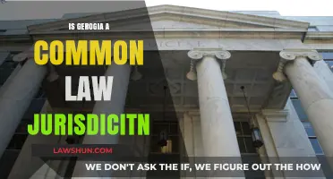 Common Law in Georgia: A Clear Jurisdiction Distinction