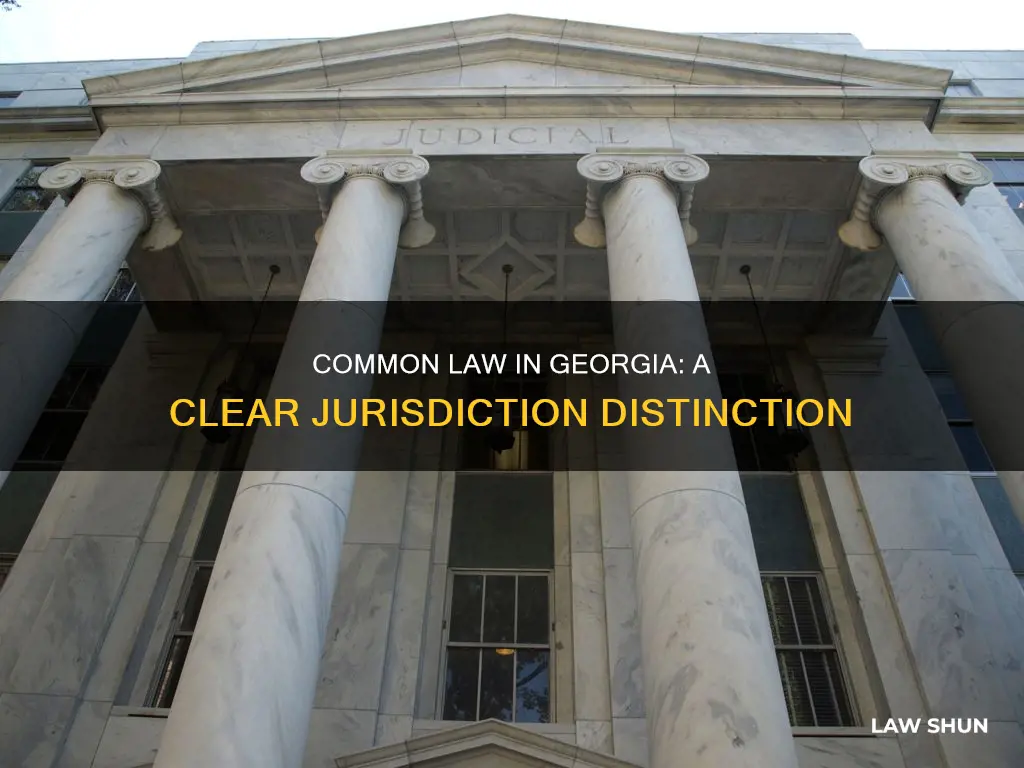 is gerogia a common law jurisdicitn
