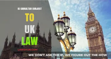 Gibraltar's Legal Status: UK Law or Independence?