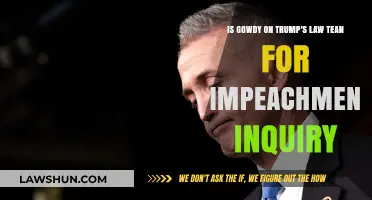 Is Trey Gowdy Joining Trump's Legal Team for Impeachment Defense?