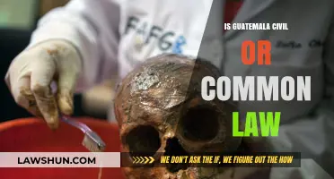 Civil or Common Law: Guatemala's Legal System Explored