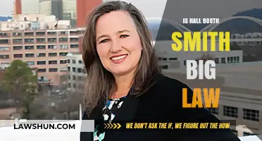 Exploring Hall Booth Smith: A Deep Dive into Big Law Dynamics