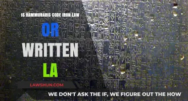 Hammurabi's Code: Iron Law or Flexible Legal Framework?