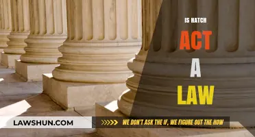 Understanding the Hatch Act: Legal Boundaries for Government Employees Explained