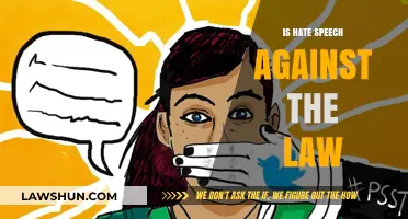 Understanding Hate Speech: Legal Boundaries and Consequences