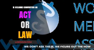 Understanding the Helsinki Convention: Act, Law, or International Treaty?