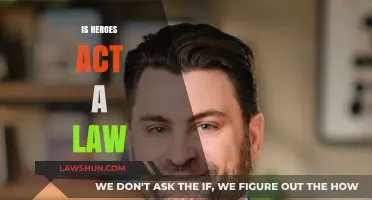Is the Heroes Act a Law? Understanding Its Legal Status