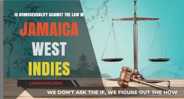 Jamaica's Anti-LGBTQ Laws: A Human Rights Violation