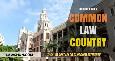 Hong Kong's Legal System: Common Law or Not?