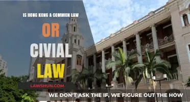 Hong Kong's Legal System: Common or Civil Law?