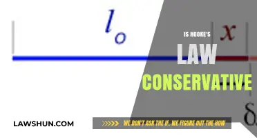 Is Hooke's Law Conservative? Exploring Energy Conservation in Elastic Systems